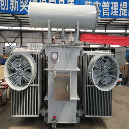 新巴尔虎右S20-8000KVA变压器
